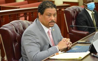 THE DEPARTMENT OF PLANNING AND NATURAL RESOURCES, THE BUREAU OF MOTOR VEHICLES, AND THE VIRGIN ISLANDS TAXICAB COMMISSION DEFENDS THE FY 2021 BUDGET