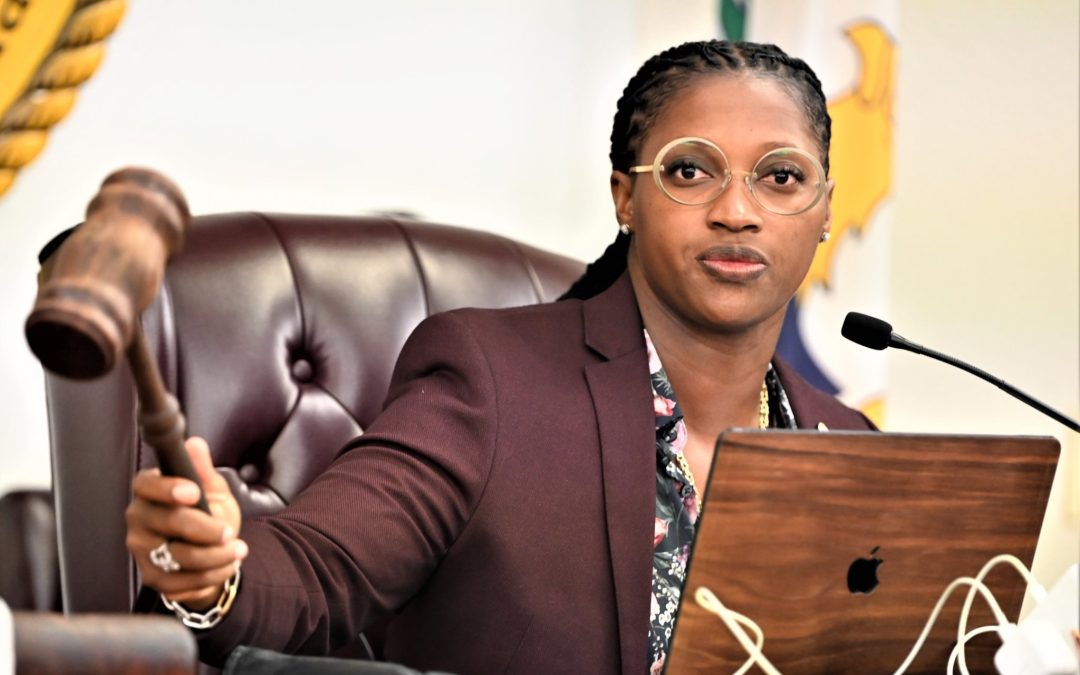 COMMITTEE RECEIVES UPDATE ON DISASTER RELATED PROJECTS