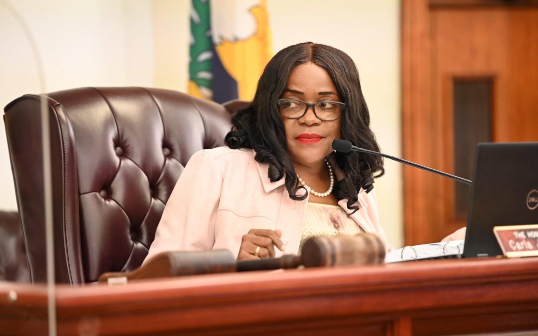 BILL TO CREATE AN ONLINE DATABASE FOR ABANDONED PROPERTY AND ELECTION ADVANCES