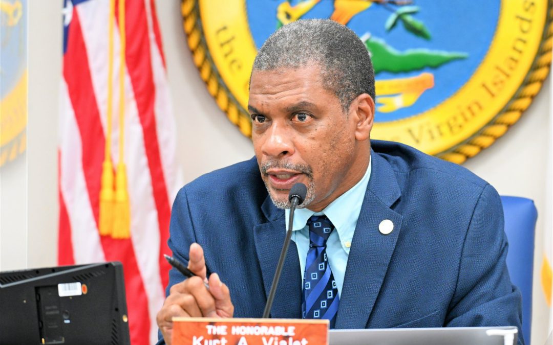 THE JUAN F. LUIS HOSPITAL AND MEDICAL CENTER AND THE FREDERIKSTED HEALTH CARE, INC. SHARES THE FISCAL YEAR 2023 EXECUTIVE BUDGET