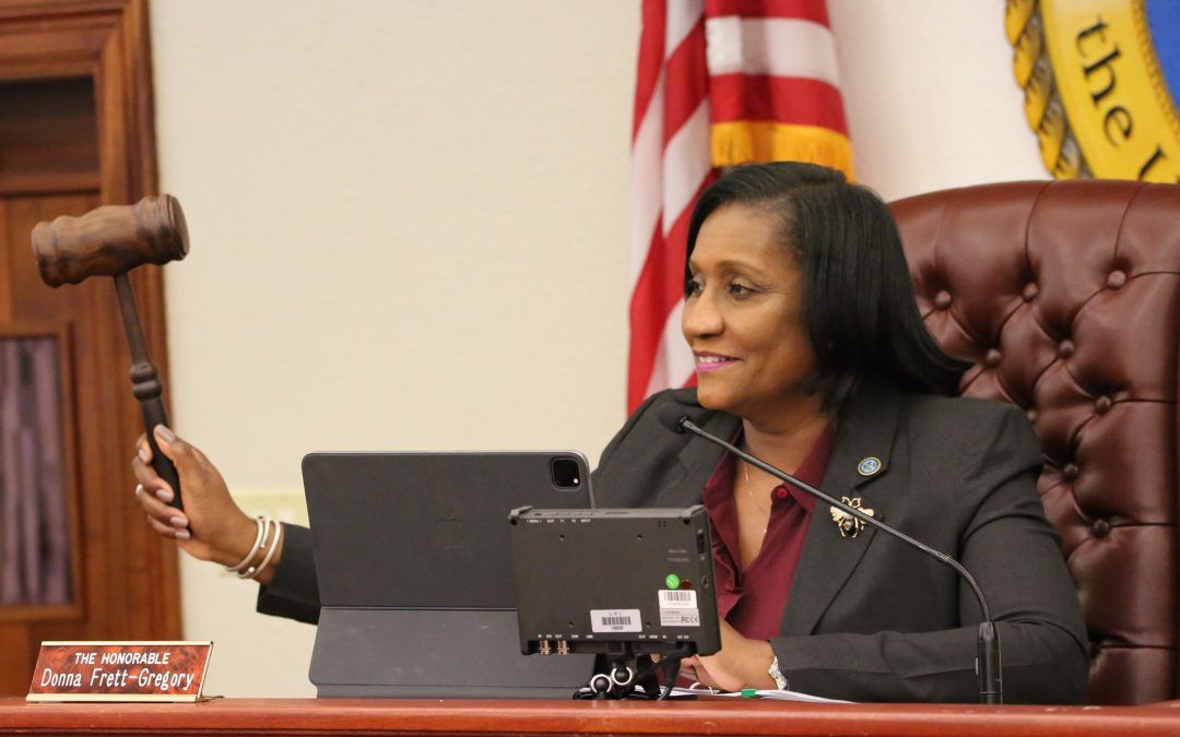 THE DEPARTMENT OF LICENSING AND CONSUMER AFFAIRS AND THE VIRGIN ISLANDS TERRITORIAL EMERGENCY MANAGEMENT AGENCY DEFENDS BUDGET