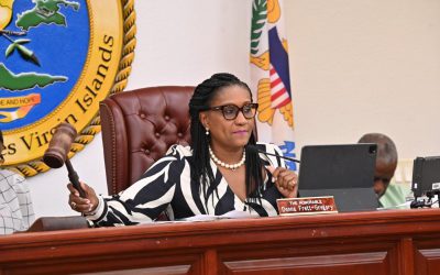 COMMITTEE RECEIVES FISCAL YEAR 2024 and 2025 BUDGET OVERVIEW 