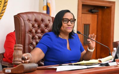 DEPARTMENT OF PROPERTY AND PROCUREMENT, VIRGIN ISLANDS HOUSING AUTHORITY DEFEND FISCAL YEAR 2024 BUDGET