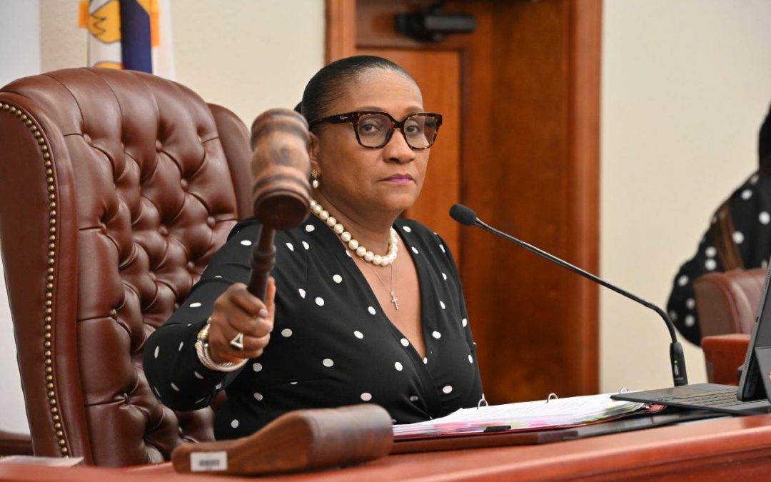 BUREAU OF INTERNAL REVENUE, ECONOMIC DEVELOPMENT AUTHORITY, DEPARTMENT OF LABOR, AND LEGAL SERVICES OF THE VIRGIN ISLANDS DEFEND BUDGET