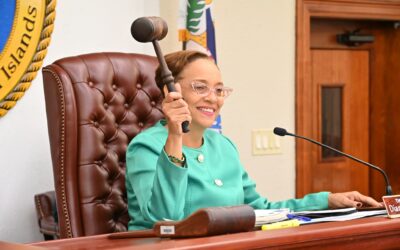 COMMITTEE ADVANCES NOMINATIONS AND BILLS