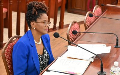 THE VIRGIN ISLANDS TAXICAB COMMISSION SHARES THE PROPOSED FY 2025 BUDGET, TWO LEASE AGREEMENTS FORWARDED