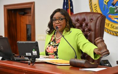 COMMITTEE CONSIDERS BILLS HONORING VIRGIN ISLANDERS, RECEIVES UPDATE FROM DLCA 