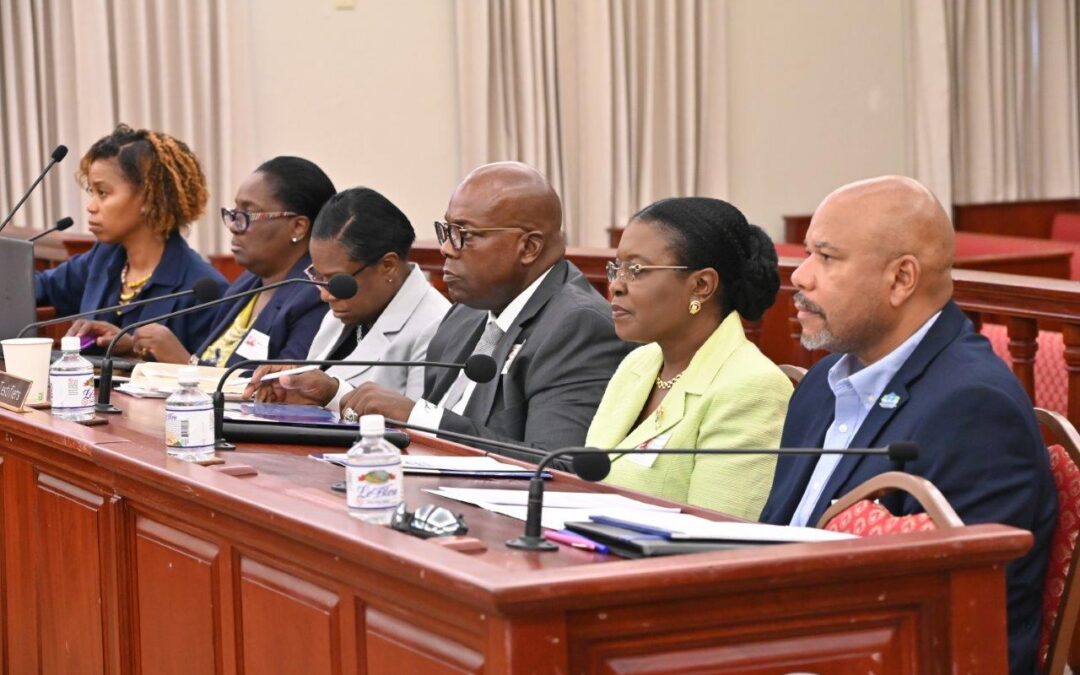 LAWMAKERS EXAMINE HOUSING CRISIS, HOMELESSNESS, AND INSURANCE MARKET CHALLENGES IN THE VIRGIN ISLANDS