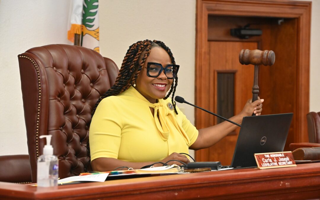 COMMITTEE CONSIDERS MEASURES HONORING VIRGIN ISLANDERS, RECEIVES UPDATE FROM OFFICE OF GUN VIOLENCE PROTECTION 