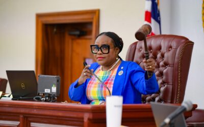 LAWMAKERS APPROVE LEASE AGREEMENTS AND BILLS 