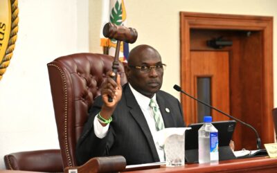 COMMITTEE RECEIVES FY 2026 BUDGET REQUEST FOR DPNR, VETS BILL TO RAISE COST TO BRING IN CONTAINERS