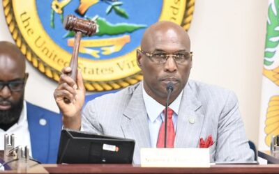 COMMITTEE RECEIVES FY 2026 BUDGET REQUESTS FOR ELECTION SYSTEM, WAPA, AND SCHNEIDER REGIONAL MEDICAL CENTER 