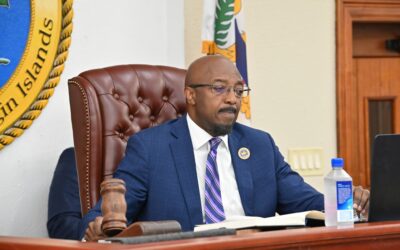 LAWMAKERS VET HOTEL DEVELOPMENT AGREEMENT, COASTAL ZONE MANAGEMENT PERMITS IN COMMITTEE OF THE WHOLE, APPROVE AGREEMENT, REJECT PERMITS IN LEGISLATIVE SESSION