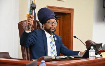 COMMITTEE RECIEVES UPDATES ON DSPR PROJECTS, CONSIDERS ELDER ABUSE RESPONSE BILL 