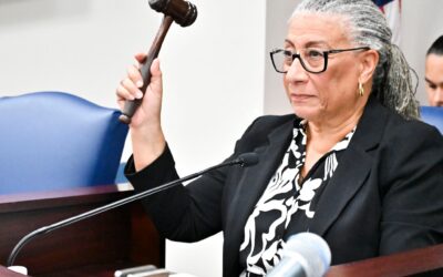 COMMITTEE VETS MEASURE ON WAPA EXPANSION AND UPGRADES, HEARS TESTIMONY ON HEIRS’ PROPERTY 